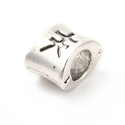 Tibetan Style Alloy European Beads PALLOY-P293-139AS-1