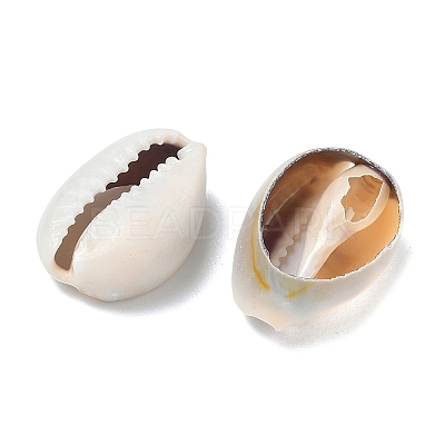 Natural Cowrie Shell Beads BSHE-O007-73-1