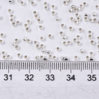 Glass Seed Beads X-SEED-S042-04B-06-1