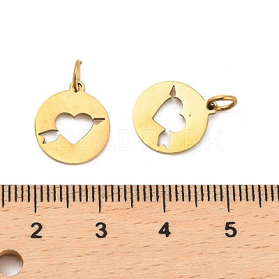 304 Stainless Steel Charms STAS-D050-07G-01-1