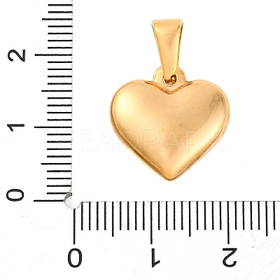 304 Stainless Steel Pendants STAS-P278-01A-G-1-1