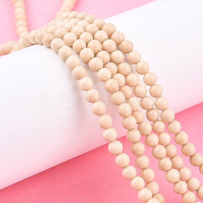 Natural Fossil Beads Strands G-E110-4mm-2-1