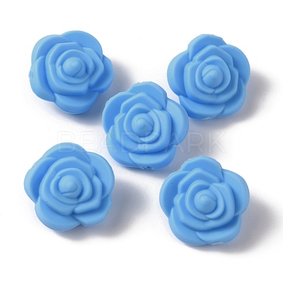 Food Grade Eco-Friendly Silicone Beads FIND-WH0125-43B-1