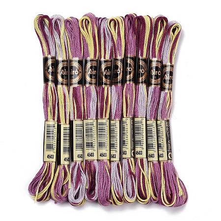 10 Skeins 6-Ply Polyester Embroidery Floss OCOR-K006-A76-1