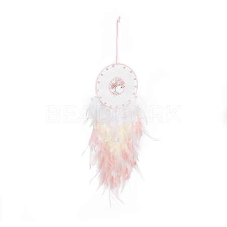 Iron Woven Web/Net with Feather Pendant Decorations AJEW-B017-08-1