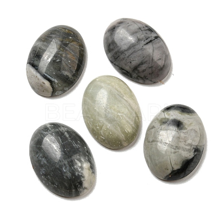 Natural Picasso Jasper Cabochons G-C115-01A-37-1