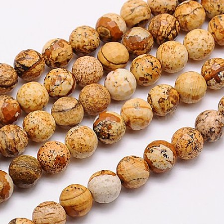 Natural Picture Jasper Beads Strands G-G542-10mm-08-1