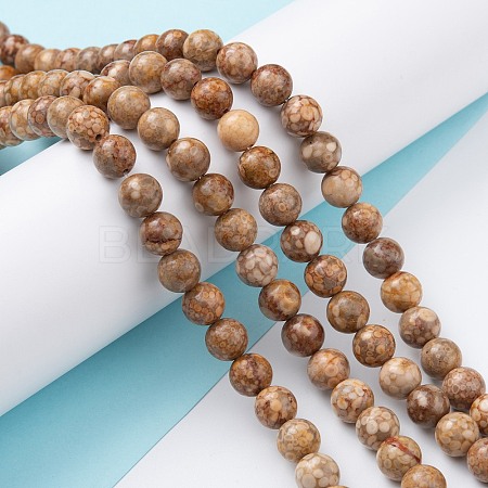 Natural Maifanite/Maifan Stone Beads Strands X-G-P451-01A-C-1