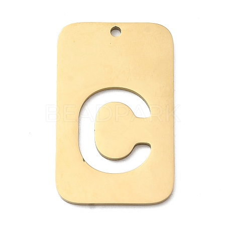 304 Stainless Steel Pendants STAS-D200-01C-G-1