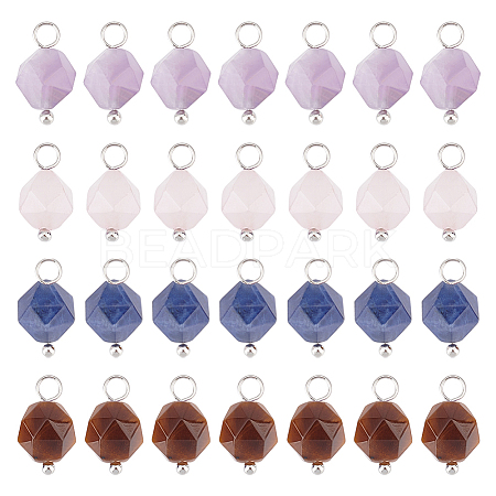 DICOSMETIC 40Pcs 4 Styles Faceted Natural Mixed Stone Charms FIND-DC0001-36-1