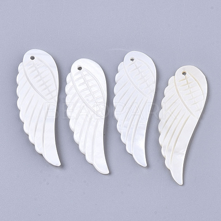 Natural Freshwater Shell Pendants SHEL-R047-22-1