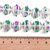 Glass with Enamel Beads Strands GLAA-M047-01D-4