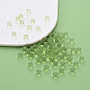 Transparent Acrylic Beads MACR-S373-62B-06-6