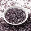 MIYUKI Round Rocailles Beads X-SEED-G008-RR3543-2