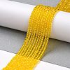 Transparent Glass Beads Strands GLAA-H021-04-06-3