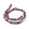 Natural Freshwater Shell Beads Strands BSHE-H018-07F-2