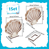 Shell Shaped Basswood Plywood Storage Boxes with Visible Window AJEW-WH0819-010-3