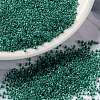 MIYUKI Round Rocailles Beads X-SEED-G009-RRHB169-1