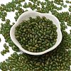 Transparent Colours Glass Seed Beads SEED-F006-03A-04-2