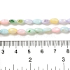 Rainbow Color Dyed Natural Freshwater Shell Beads Strands X1-SHEL-G018-02H-4