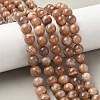 Round Natural Multi-Moonstone Beads Strands G-I176-09-10mm-02-5