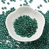 Glass Seed Beads SEED-H002-C-A050-2