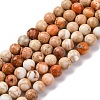 Dyed Natural Regalite/Imperial Jasper/Sea Sediment Jasper Beads Strands G-B124-C02-10-1
