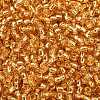TOHO 8/0 Round Beads SEED-TR08-0022B-2