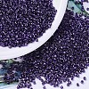 MIYUKI Delica Beads SEED-MY11-DB0464-1