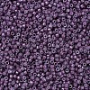 MIYUKI Delica Beads SEED-X0054-DB0662-3