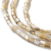 Natural Freshwater Shell Beads Strands SSHEL-B002-17-3