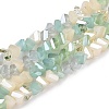 Electroplate Glass Beads Strands GLAA-T023-A17-03-1