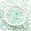 Baking Paint Glass Seed Beads X1-SEED-A033-05R-2