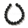 Dyed Natural Black Agate Beads Strands G-P088-14-10mm-5