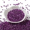 Baking Paint Glass Seed Beads X-SEED-S042-15A-20-2