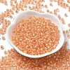 Transparent Glass Round Seed Beads X1-SEED-B001-05A-31-2