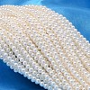 Round Shell Pearl Bead Strands X-BSHE-L011-5mm-A013-1