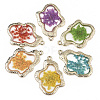 Epoxy Resin Pendants RESI-T045-028-1