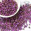 Glass Seed Beads X1-SEED-H002-B-D207-1
