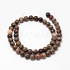 Natural Rainforest Agate Round Bead Strands G-P075-45-8mm-2