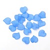 Transparent Acrylic Pendants PL591-5-2