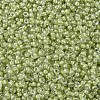 MIYUKI Round Rocailles Beads SEED-G007-RR0378-3