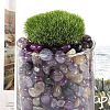 Dyed & Heated Natural Agate Beads G-J402-04E-07-3