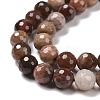 Natural Petrified Wood Beads Strands G-E571-27B-4