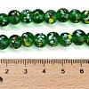 Handmade Lampwork Beads Strands LAMP-H071-01B-02-4