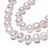Natural Cultured Freshwater Pearl Beads Strands PEAR-N014-05H-4