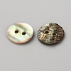 Natural Shell Buttons BUTT-WH0024-041C-2