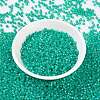 MIYUKI Round Rocailles Beads SEED-X0055-RR0572-2