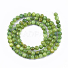 Freshwater Shell Beads Strands X-SHEL-S276-32D-2