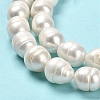 Natural Cultured Freshwater Pearl Beads Strands PEAR-E016-089-4